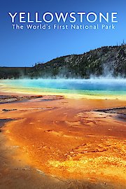 National Parks Exploration Series: Yellowstone