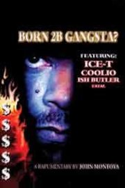 Born 2b Gangsta?