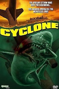 Cyclone