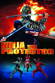 Ninja The Protector