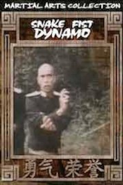 Snake Fist Dynamo