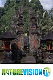 The Wonders of Bali