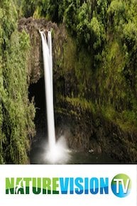 Tropical Waterfall