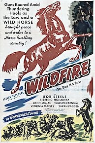 Wildfire