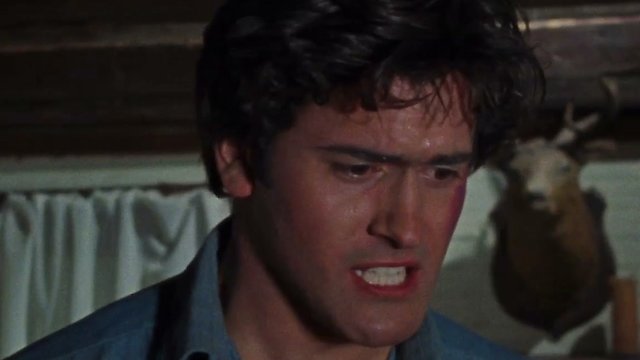 Stream The Evil Dead Online | 1981 Movie | Yidio
