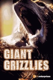 Giant Grizzlies