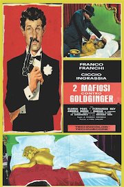 Two Crazy Secret Agents