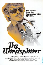 The Windsplitter