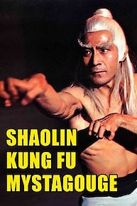 Shaolin Kung Fu Mystagogue