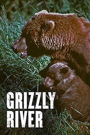 Grizzly River