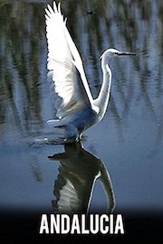 Andalusia: Between Heaven and Hell