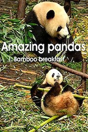 Amazing pandas. I. Bamboo breakfast