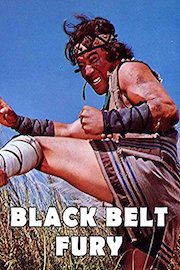 Black Belt Fury