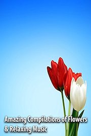 Amazing Compilations of Flowers & Relaxing Music