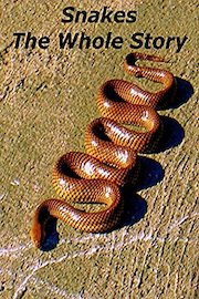 Snakes The Whole Story