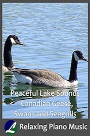 Peaceful Lake Sounds - Canadian Geese, Swans and Seagulls - Relaxing Piano Music