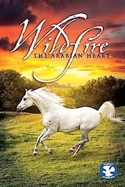 Wildfire: The Arabian Heart