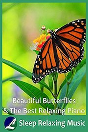 Beautiful Butterflies & The Best Relaxing Piano - Sleep Relaxing Music