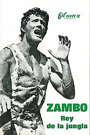 Zambo