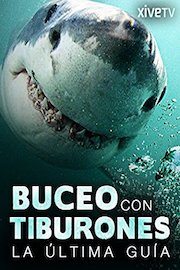 Buceo con tiburones: la última guía
