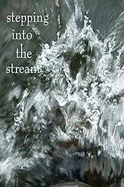 Stepping into the Stream