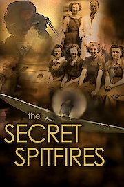 Secret Spitfires: How Ordinary Brits Beat the Nazis