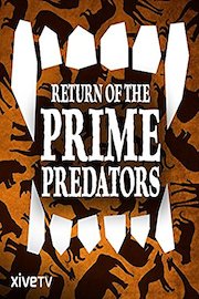 Return of the Prime Predators