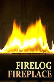 Firelog Fireplace