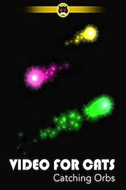 Video for Cats Catching Orbs