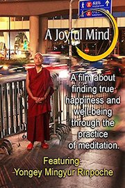 A Joyful Mind - Finding true happiness through the practice of meditation