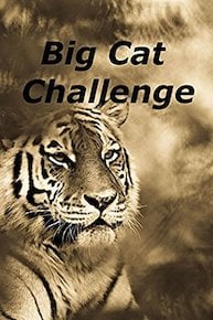 Big Cat Challenge