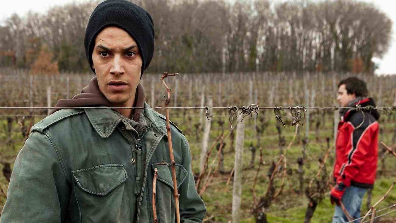 Laura McKenzie's Traveler - Amsterdam