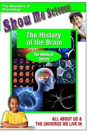 The History of the Brain