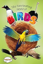 The Fascinating World of Birds