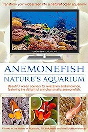 Anemonefish: Nature's Aquarium