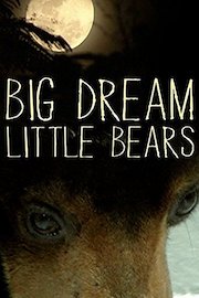 Big Dream Little Bears