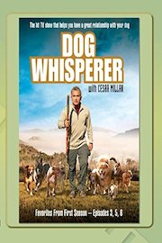 Dog Whisperer - Favorites Season One, Vol.4