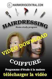 V5L5 -Chemical services - Coloring