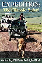 Expedition: The Ultimate Safari