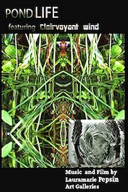 Clairvoyant Wind - A Pond Life of Tadpoles