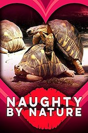 Naughty by Nature: Sex in the Jungle
