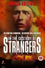 In the Custody of Strangers