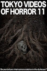 Tokyo Videos of Horror 11