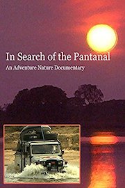 In Search of the Pantanal