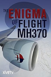 The Enigma of Flight MH370