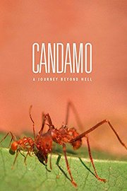 Candamo: Journey Beyond Hell
