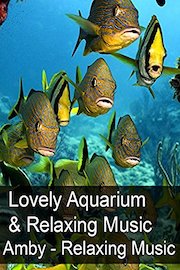 Lovely Aquarium & Relaxing Music - Amby - Relaxing Music