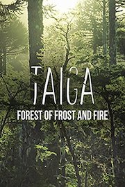 Taiga: Forest of Frost and Fire