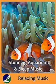 Stunning Aquarium & Sleep Music - Relaxing Music