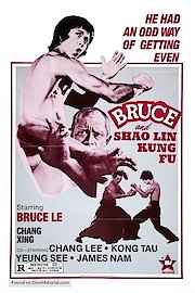 Bruce And Shaolin Kung Fu